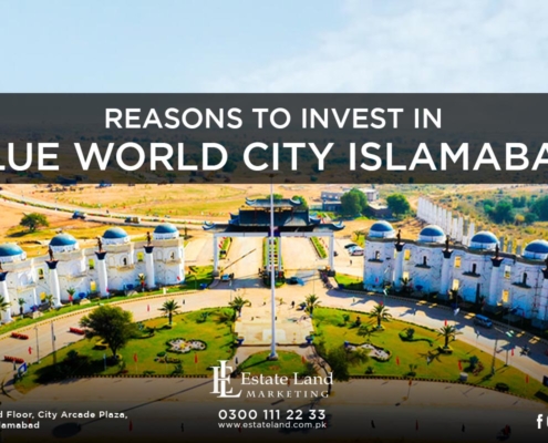 Reasons to Invest in Blue World City