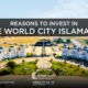 Reasons to Invest in Blue World City