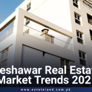 Peshawar Real Estate Market Trends in 2021 , market analysis and forecast