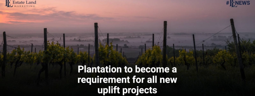 Plantation to become a requirement for all new uplift projects