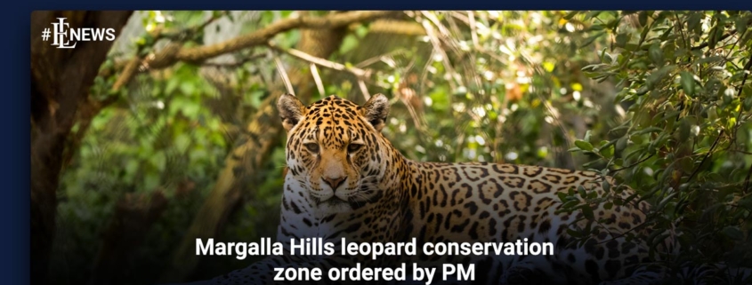 Margalla Hills leopard conservation zone ordered by PM