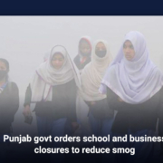 Punjab govt orders school and business closures to reduce smog