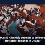 Punjab Assembly attempts to embrace protesters' demands in Gwadar