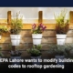 TEPA Lahore wants to modify building codes to rooftop gardening
