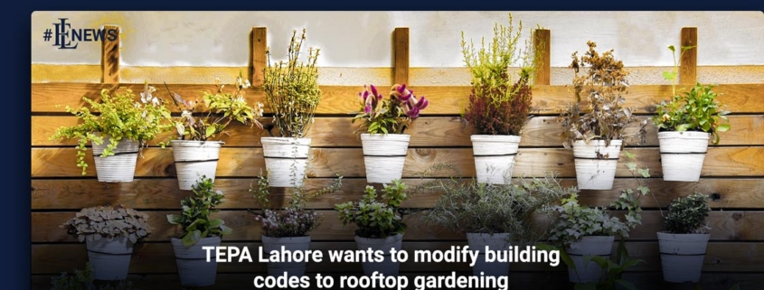 TEPA Lahore wants to modify building codes to rooftop gardening