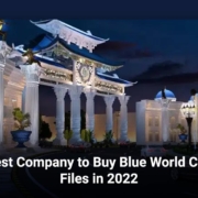 Best Company to Buy Blue World City Files in 2022