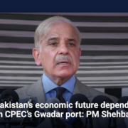 Pakistan's economic future depends on CPEC's Gwadar port: PM Shehbaz