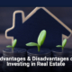 Advantages & Disadvantages of Investing in Real Estate