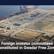 Foreign investor committees constituted in Gwadar Free Zone
