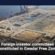 Foreign investor committees constituted in Gwadar Free Zone