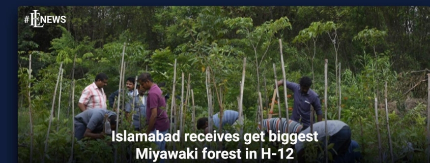 Islamabad receives get biggest Miyawaki forest in H-12