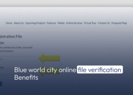 Blue World City Online File Verification Benefits