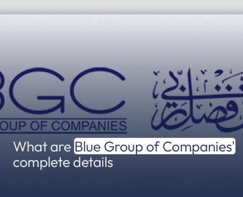 What are Blue Group of Companies' Complete Details