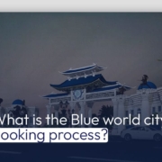 What is the Blue World City Booking Process?