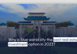 Why is Blue World City the Best Real Estate Investment option in 2023?
