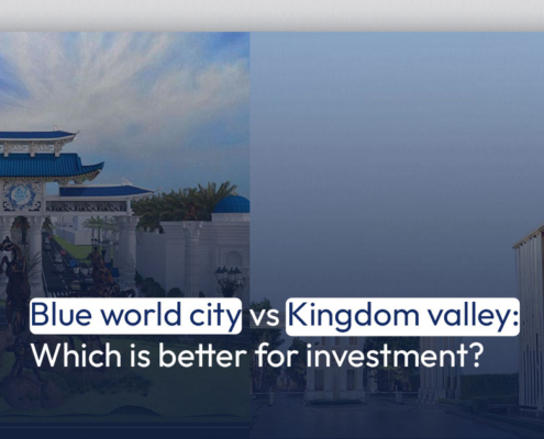 Blue world city vs Kingdom valley: Which is better for investment?