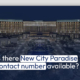 Is there New City Paradise contact number available?