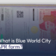 What is Blue World City APR form?
