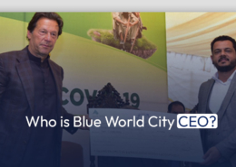 Who is the Blue World City CEO?