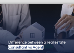 Difference between a real estate Consultant vs Agent.