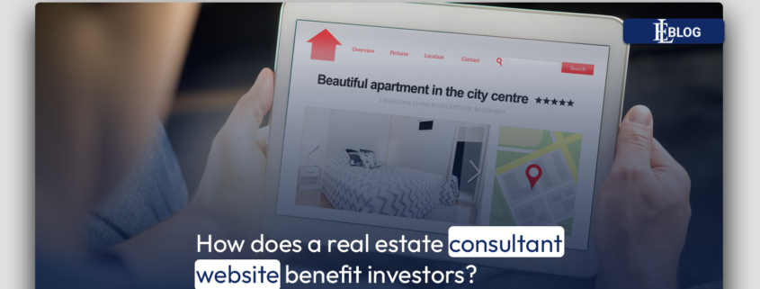 How does a real estate consultant website benefit Investors?