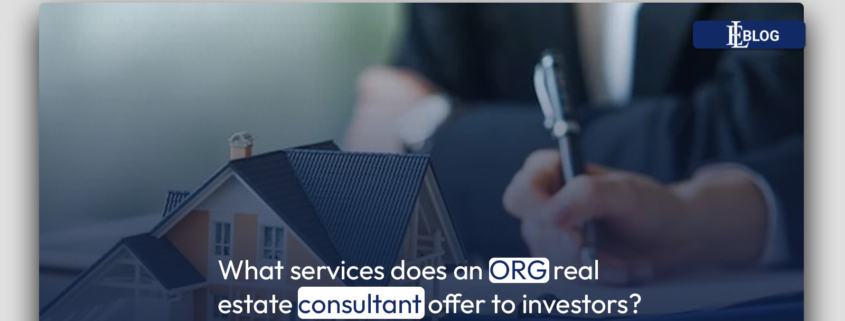 What services does an ORG real estate consultant offer to investors