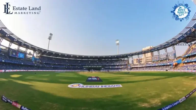 Cricket-Stadium-768x432